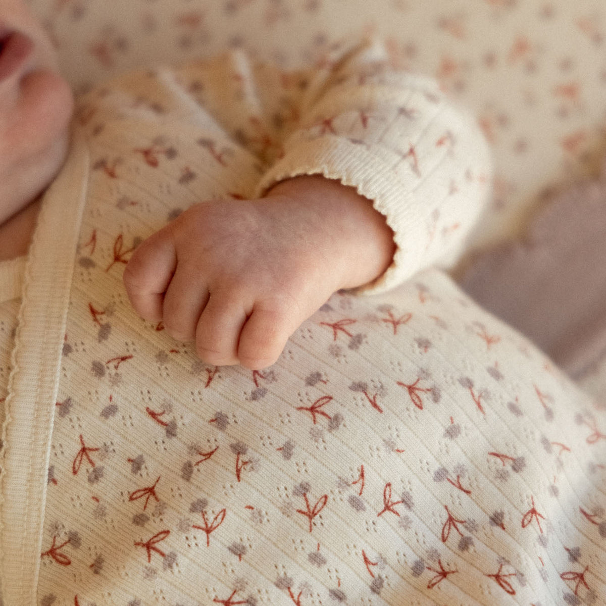 Nature Baby L/S KIMONO BODYSUIT POINTELLE in Dandelion Print