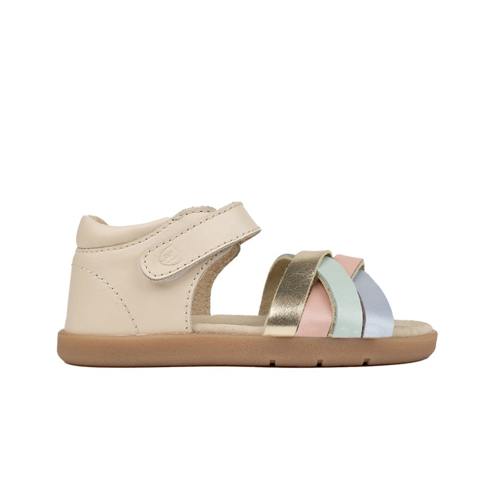 Pretty Brave LILY Pastel Multi in Pastel Multi