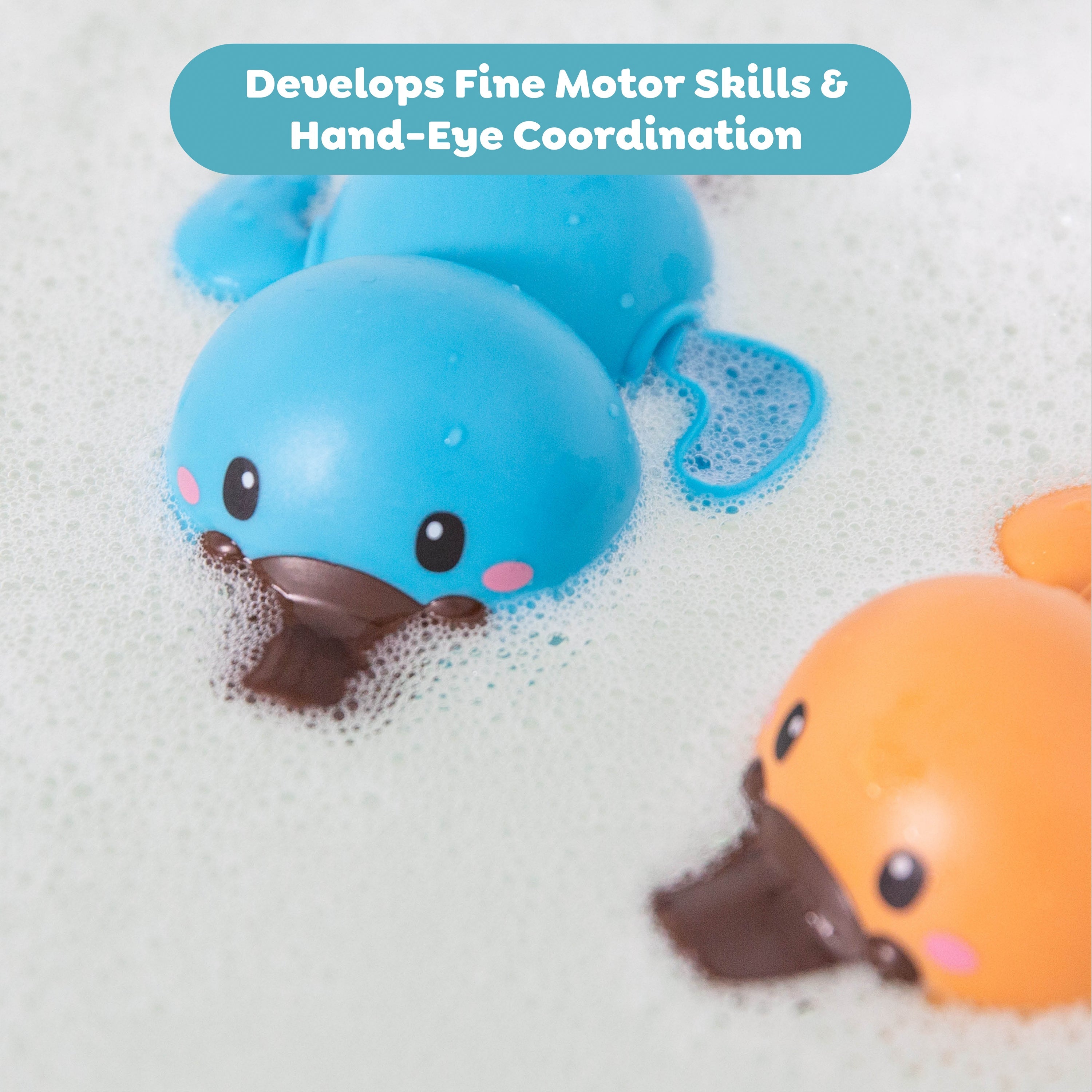 Tiger Tribe Bath Racers - Platypuses in Single