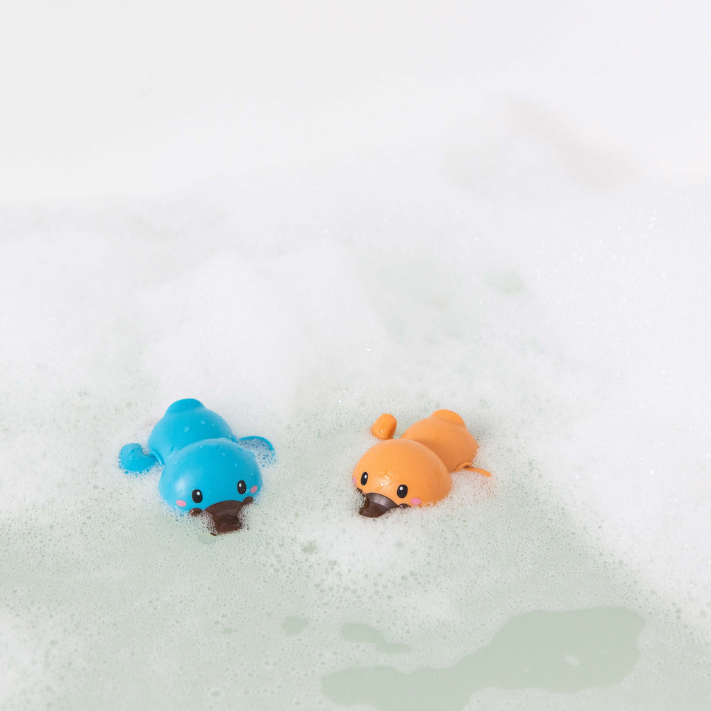 Tiger Tribe Bath Racers - Platypuses in Single