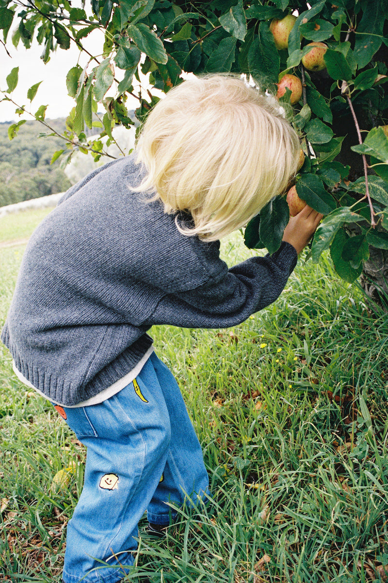 Grown Organic Fruit Salad Denim Pants in Single