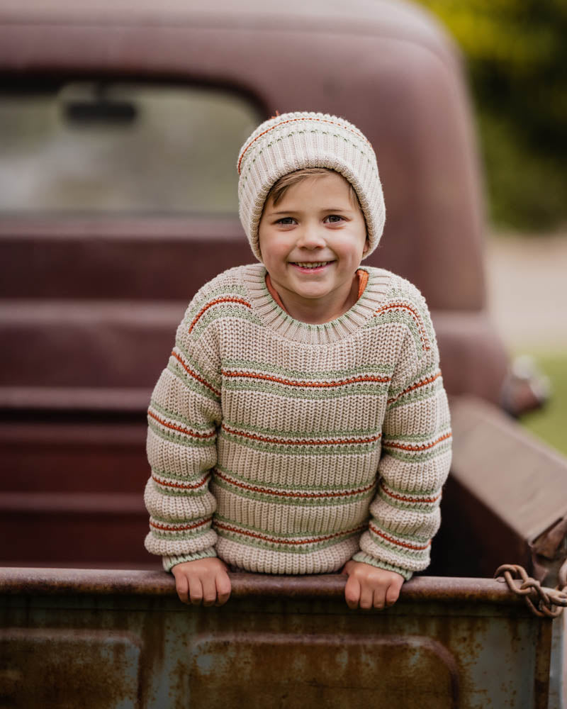 Fox & Finch Wild Side Stripe Knitted Jumper 3-7 Yrs in MULTI