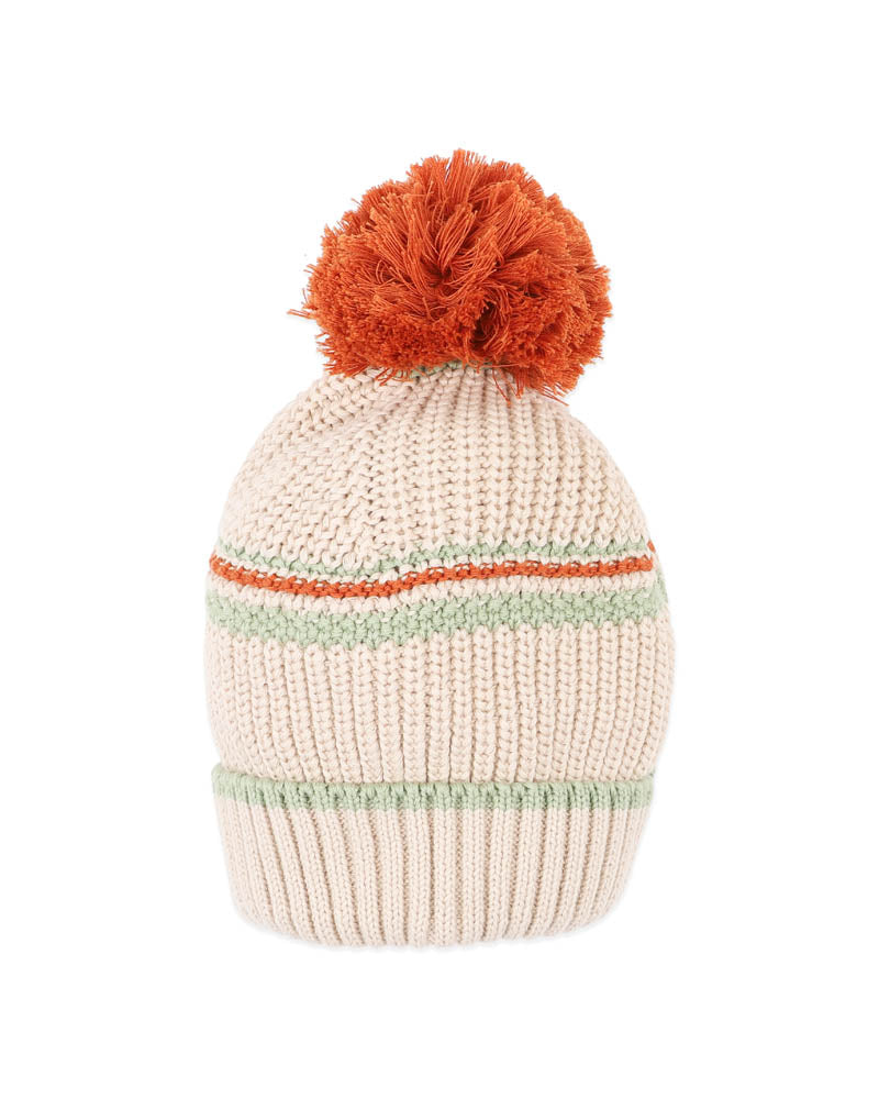 Fox & Finch Wild Side Stripe Knitted Beanie in MULTI