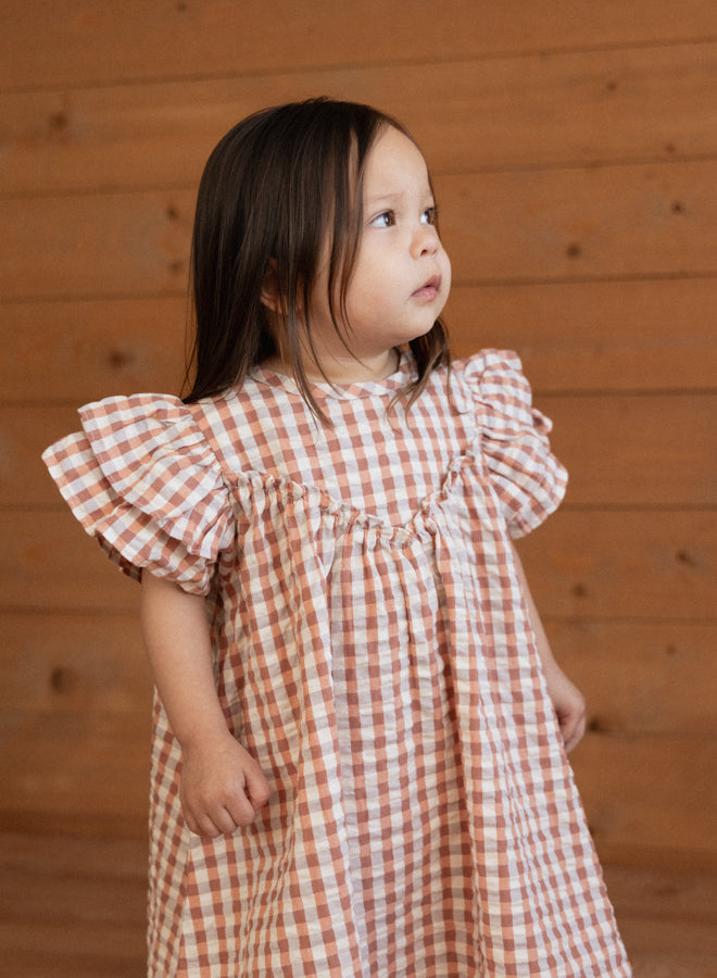 Nature Baby Una Dress in Dandelion Gingham