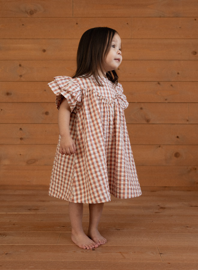 Nature Baby Una Dress in Dandelion Gingham