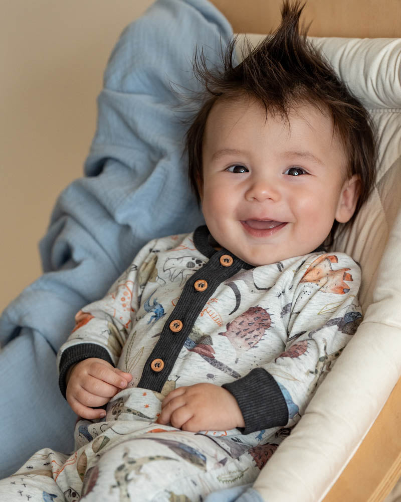 Fox & Finch Outback Adventure Romper in MULTI