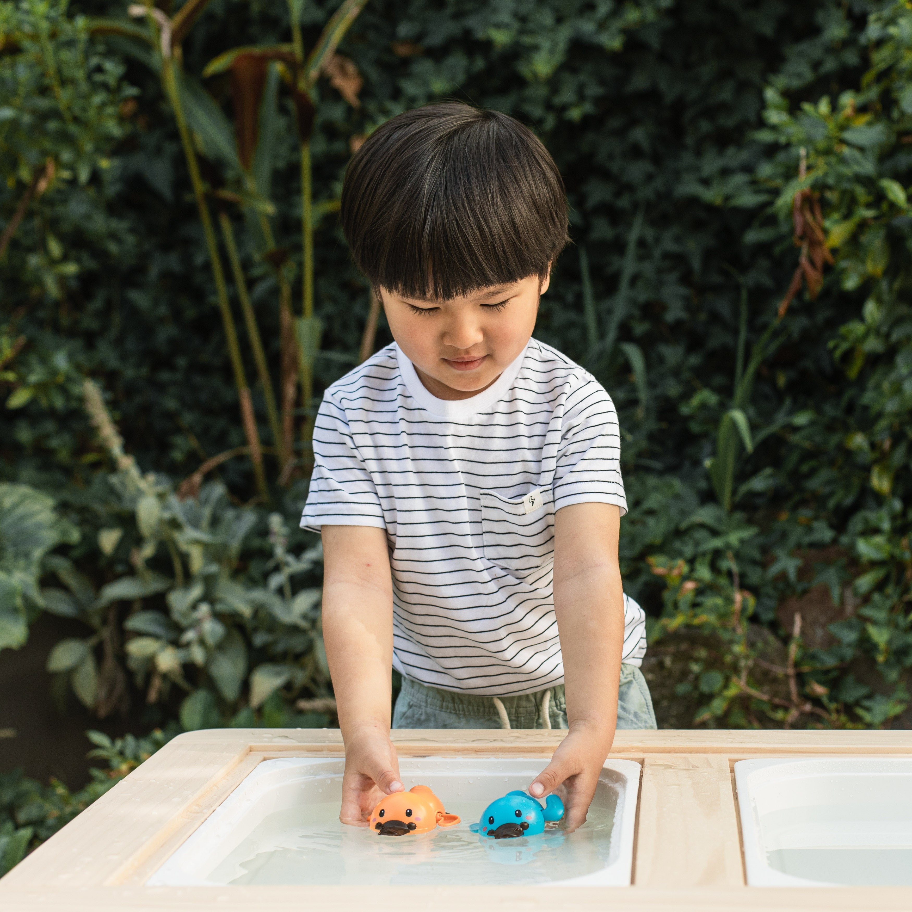 Tiger Tribe Bath Racers - Platypuses in Single