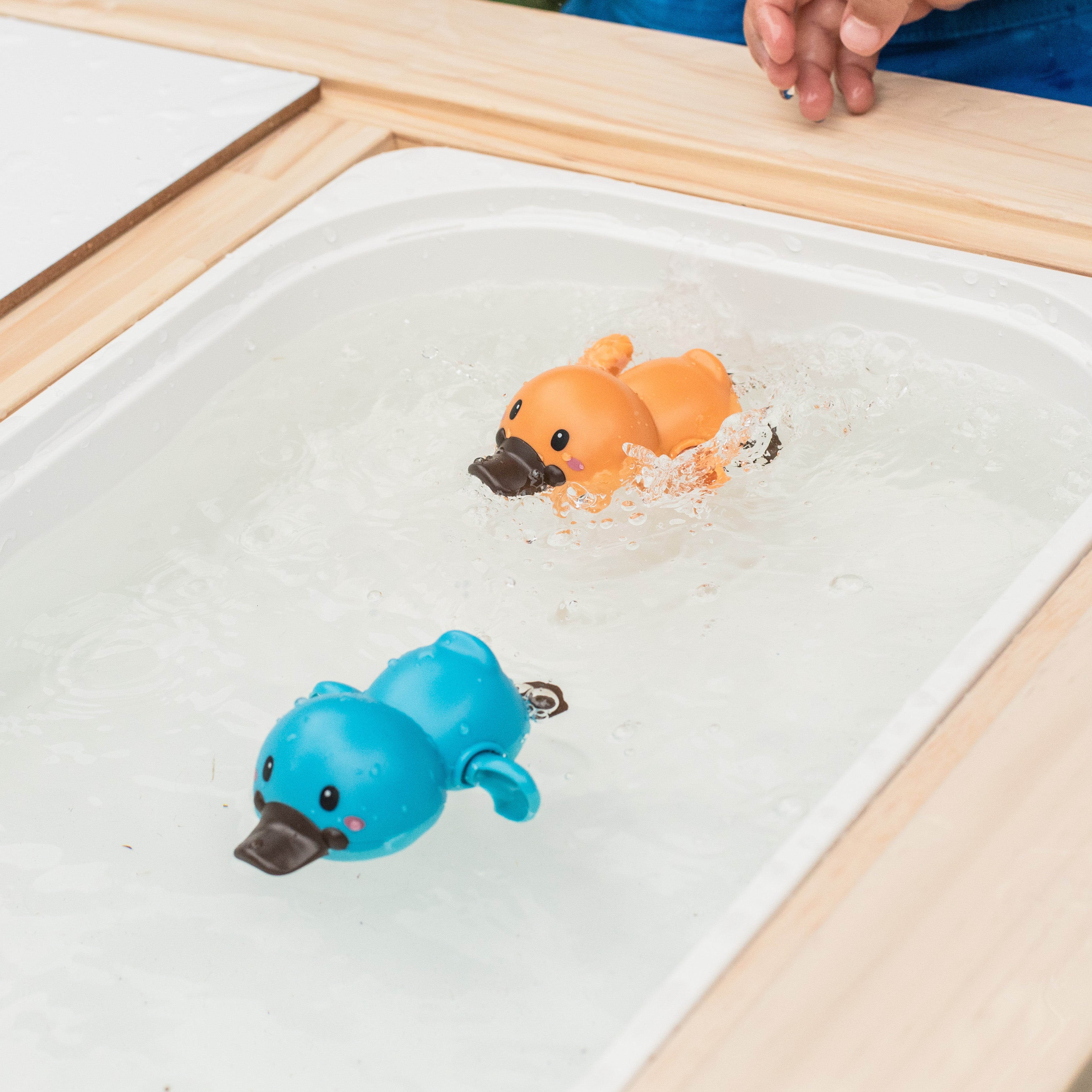 Tiger Tribe Bath Racers - Platypuses in Single