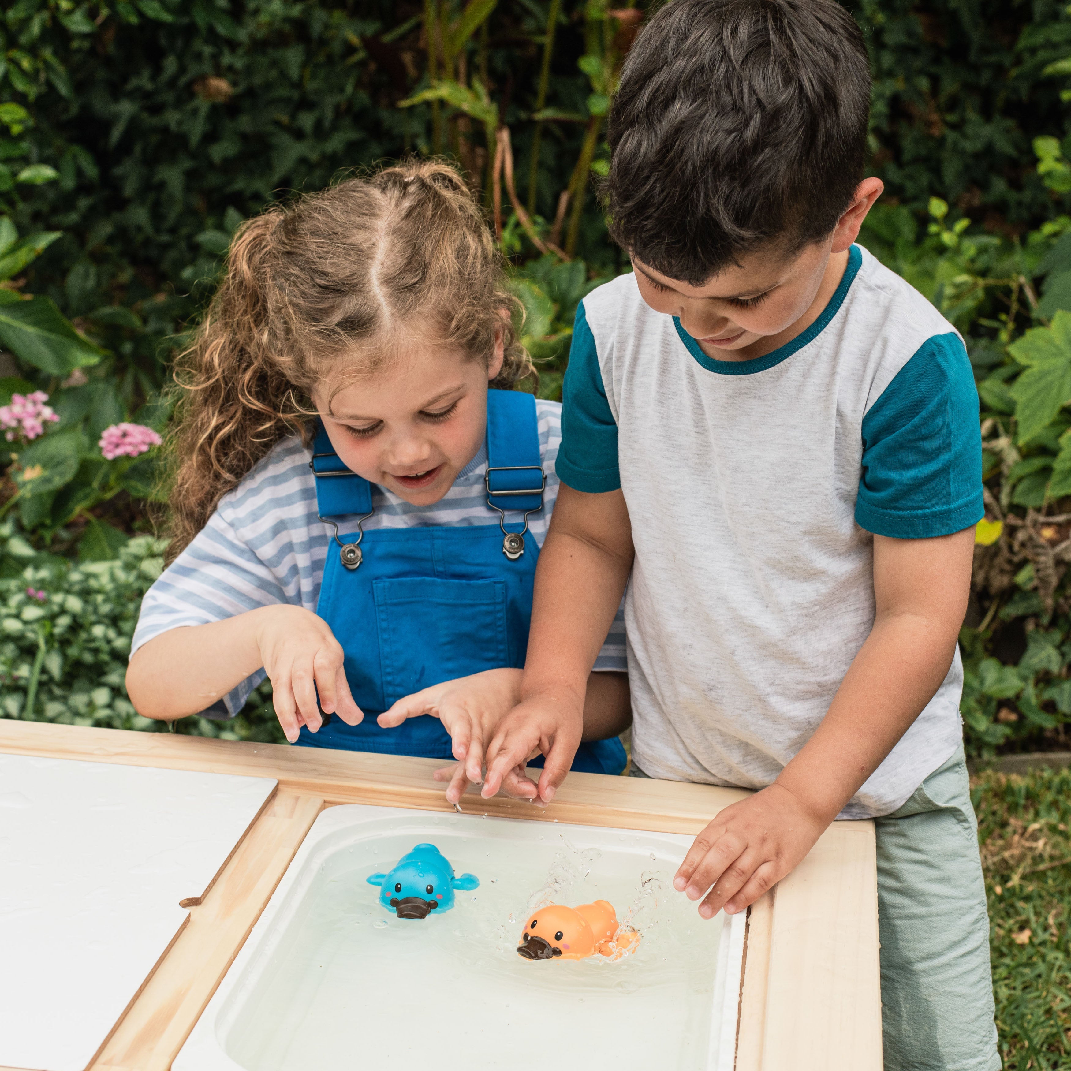 Tiger Tribe Bath Racers - Platypuses in Single