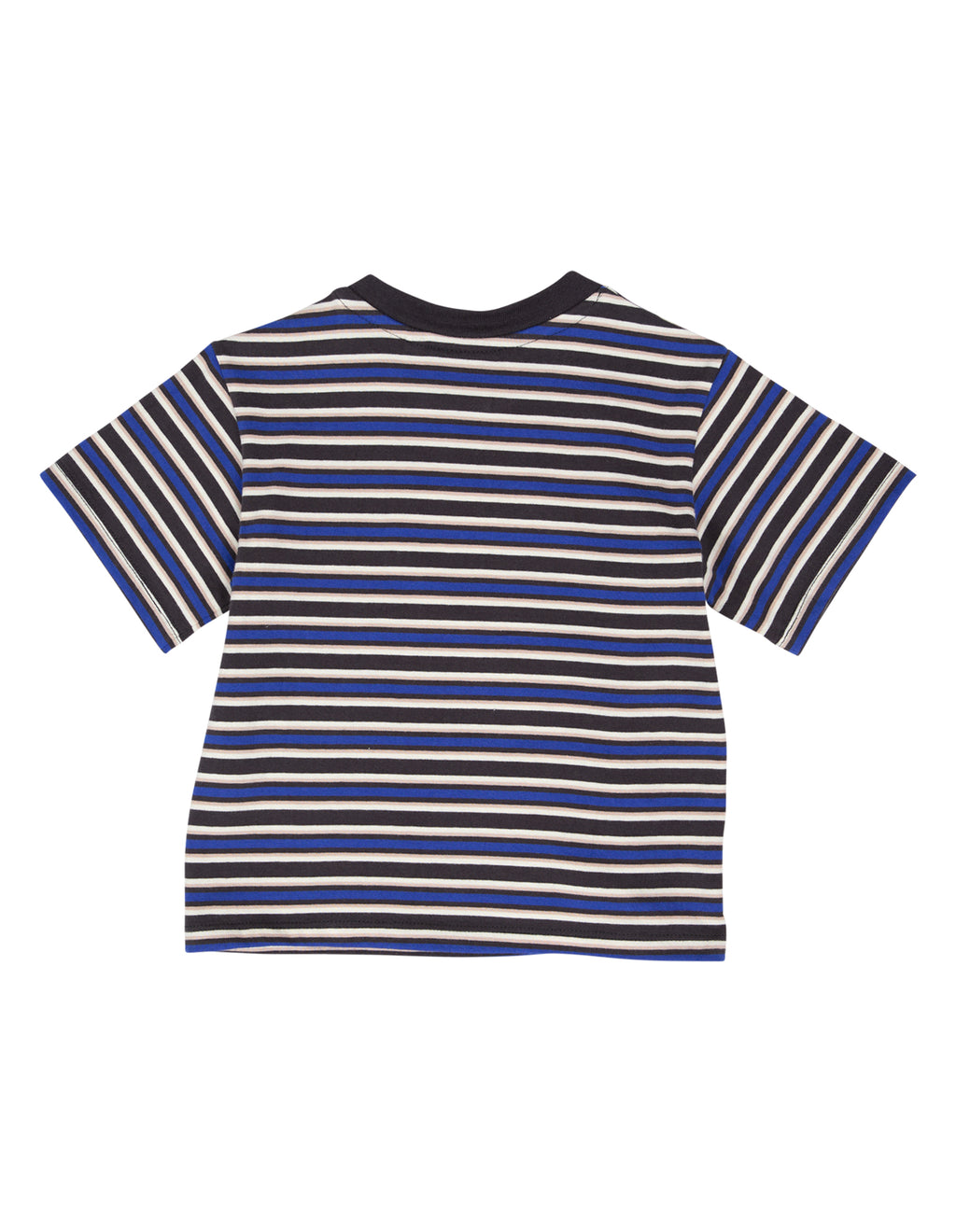 Animal Crackers Blaze Tee in STRIPE