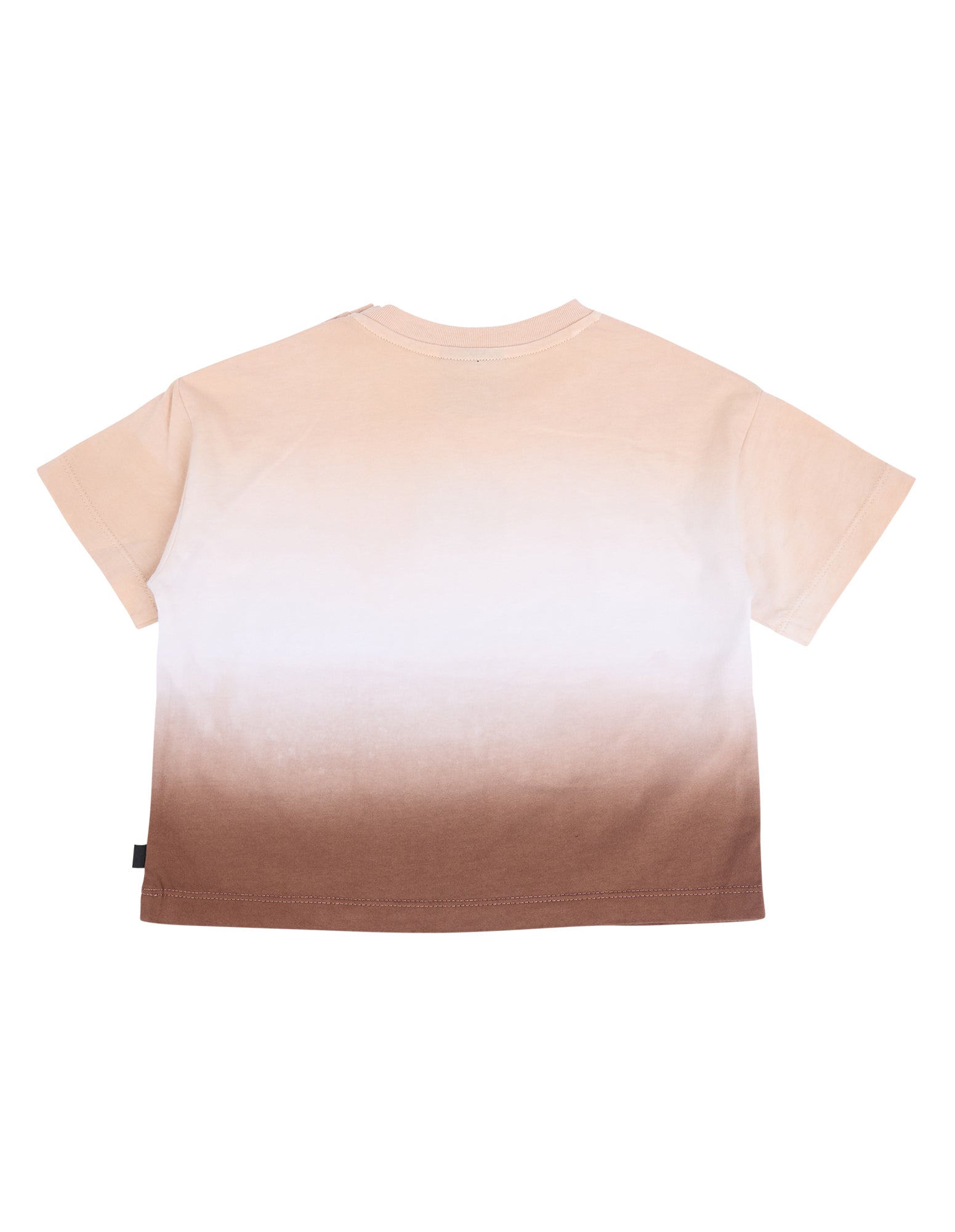 Animal Crackers Faded Tee in TAN