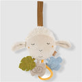 FehnNATUR - Activity Sheep
