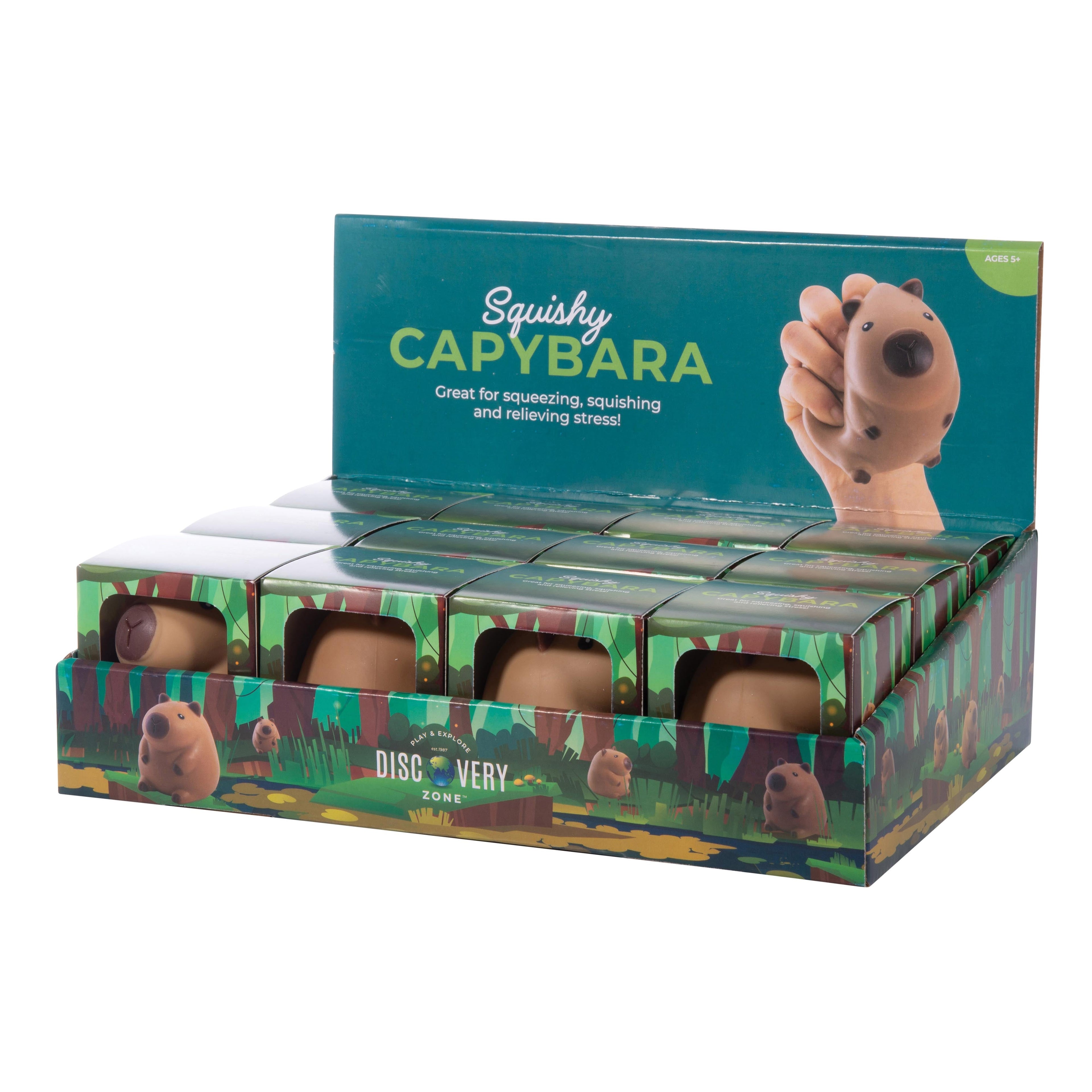 Discovery Zone Squishy Capybara Cdu 12pcs Brown in Single